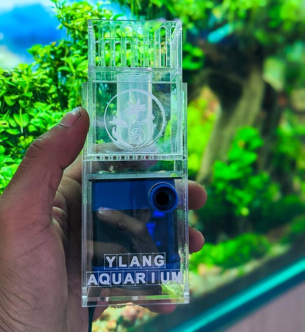 Lọc váng mặt nước hồ thủy sinh Ylang Aquarium