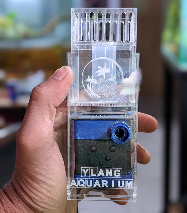 Lọc váng mặt nước hồ thủy sinh Ylang Aquarium