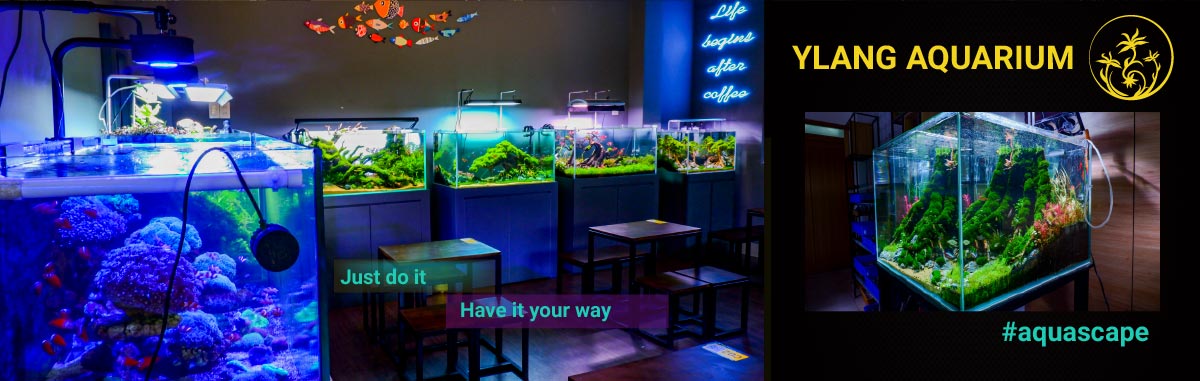 Banner Cửa hàng thủy sinh tại đà nẵng