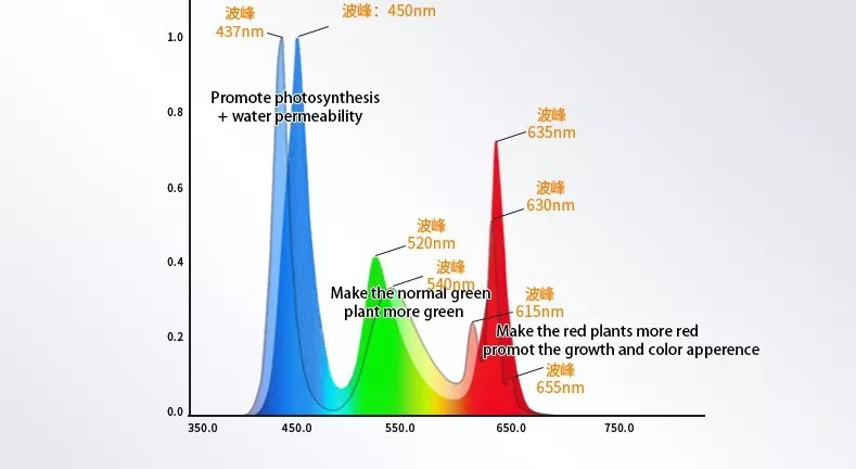 Đèn Led thủy sinh NETLEA N5 SERIES EXTENSION LIGHT 60cm 90cm