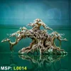 layout-bonsai-dang-do-lon