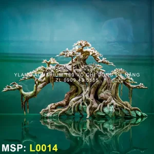 layout-bonsai-dang-do-lon