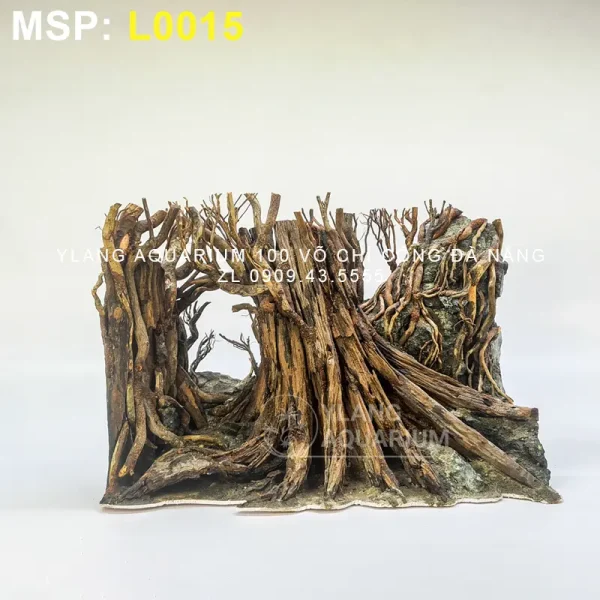 Layout rừng đại thụ - Ylang Aquarium & Coffee - Thủy sinh Đà Nẵng