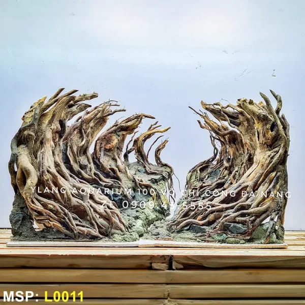 Layout rừng vòm L0011 - Ylang Aquarium & Coffee - Thủy sinh Đà Nẵng