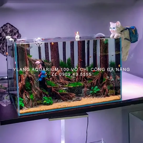 Layout thủy sinh phong cách rừng - Ylang Aquarium & Coffee - Thủy sinh ...