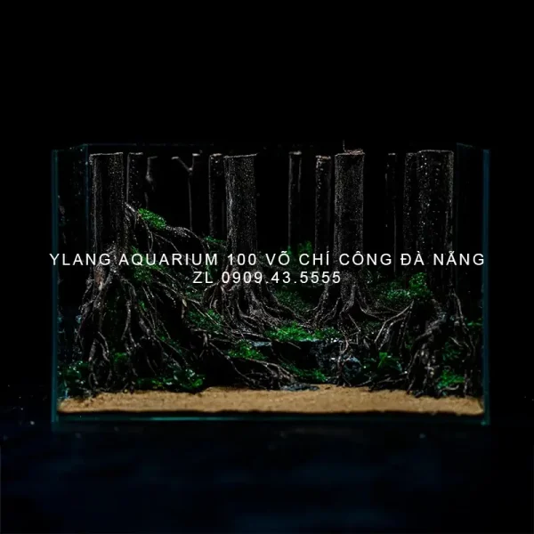 Layout thủy sinh phong cách rừng - Ylang Aquarium & Coffee - Thủy sinh ...