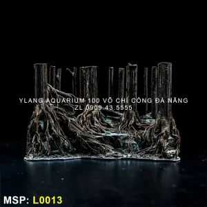 layout-thuy-sinh-phong-cach-rung