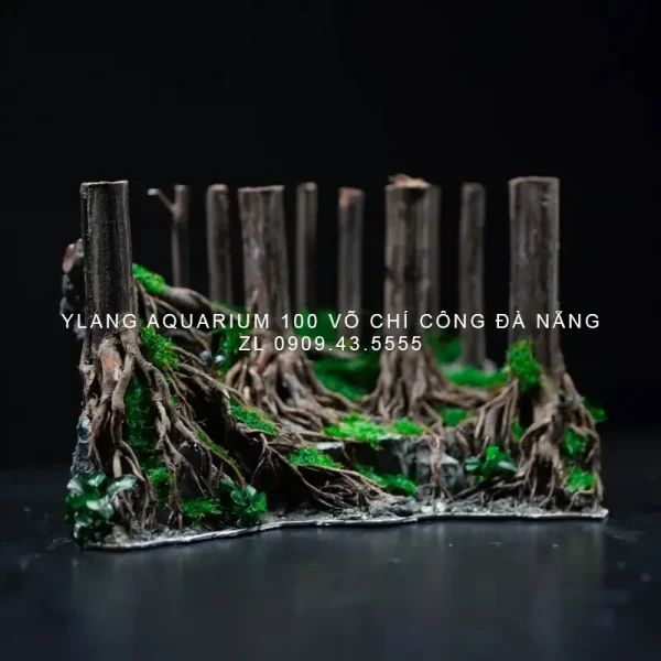 Layout thủy sinh phong cách rừng - Ylang Aquarium & Coffee - Thủy sinh ...