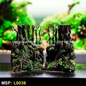 layout-rung-nhiet-doi