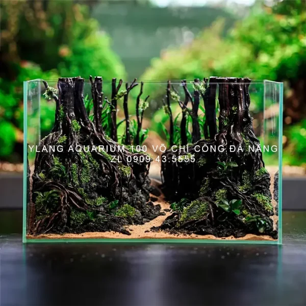 Layout Rừng nhiệt đới - Ylang Aquarium & Coffee - Thủy sinh Đà Nẵng