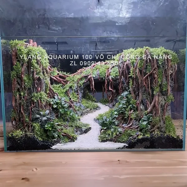 Layout Rừng Vòm Đá - Ylang Aquarium & Coffee - Thủy sinh Đà Nẵng