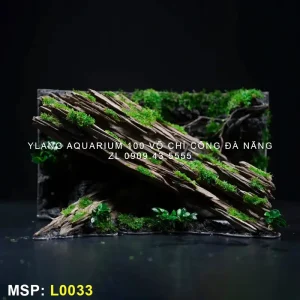 layout-thuy-sinh-vach-suoi-dang-cay-nga-do