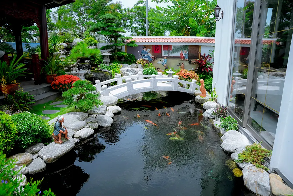 thi công hồ cá koi tại Ylang Aquarium