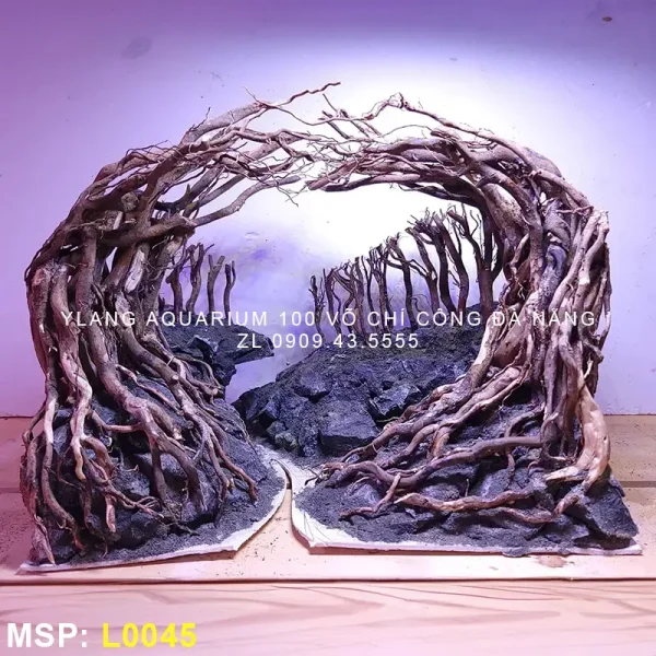 Layout rừng vòm L0045 - Ylang Aquarium & Coffee - Thủy sinh Đà Nẵng