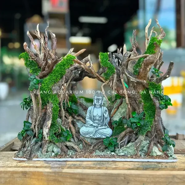 Layout rừng kết hợp đá và tượng - Ylang Aquarium & Coffee - Thủy sinh ...