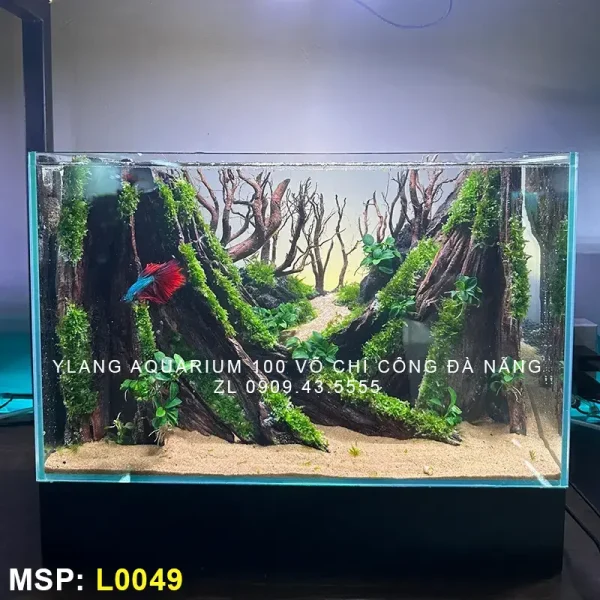 Layout Rừng San Đá - Ylang Aquarium & Coffee - Thủy sinh Đà Nẵng