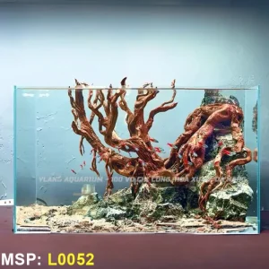 Layout-bonsai-nui-da