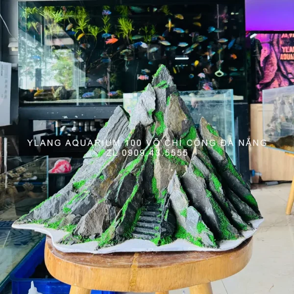 Layout núi đá L0055 - Ylang Aquarium & Coffee - Thủy sinh Đà Nẵng