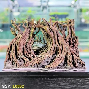 layout-rung-dai-thu-l0062