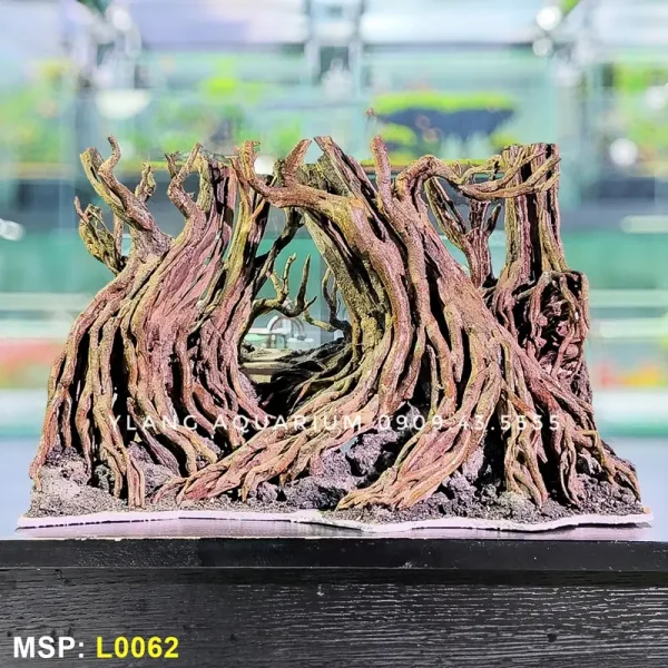 Layout rừng đại thụ L0062 - Ylang Aquarium & Coffee - Thủy sinh Đà Nẵng