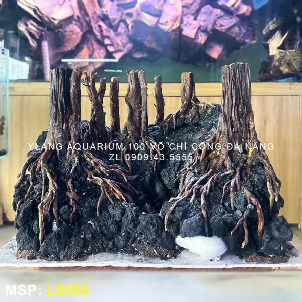 Layout rừng kết hợp thác cát - Ylang Aquarium & Coffee - Thủy sinh Đà Nẵng