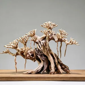 Layout Bonsai cổ thụ BS092601